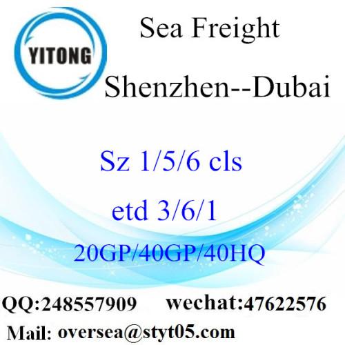 Envio de frete marítimo do porto de Shenzhen para Dubai