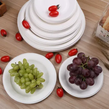 Sugarcane Paper Bagasse Plate Disposable Biodegradable Plate