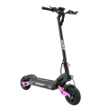 Sport Sport Fashion Fat Big 2 Wheels Electric Scooter