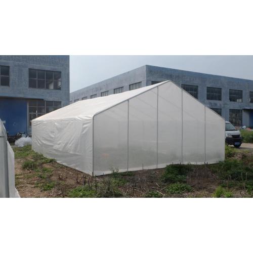 Single tunnel greenhouse plastic shed for vegetables