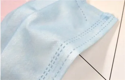 Protection Earloop Personal Health Face Mask