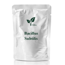 CSBIO Supply Probiotics Powder of Bacillus Subtilis