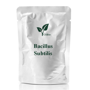 CSBIO Supply Probiotics Powder of Bacillus Subtilis