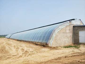 Energy Saving Sunlit Greenhouse