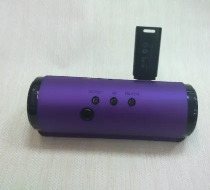 Hi-Fi portable mini speaker