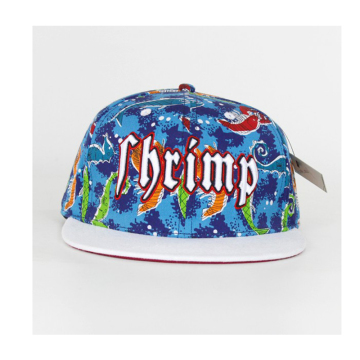 custom hip hop cap,caps hip hop,plain hip hop cap