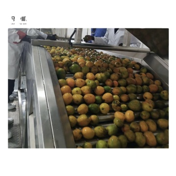 Mango Processing Machine Solutions