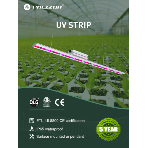 UV ir Bloombooster groeiend licht voor planten binnen