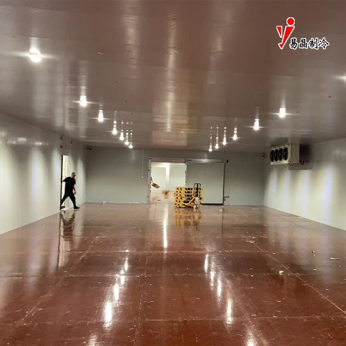 Erstklassige Frischlagerung in kontrollierter Atmosphäre