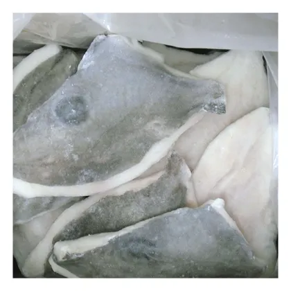 2021 New products seafood products frozen john dory, vacuum packing frozen john dory fillet