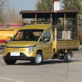 Lingshi Gold Small Truck