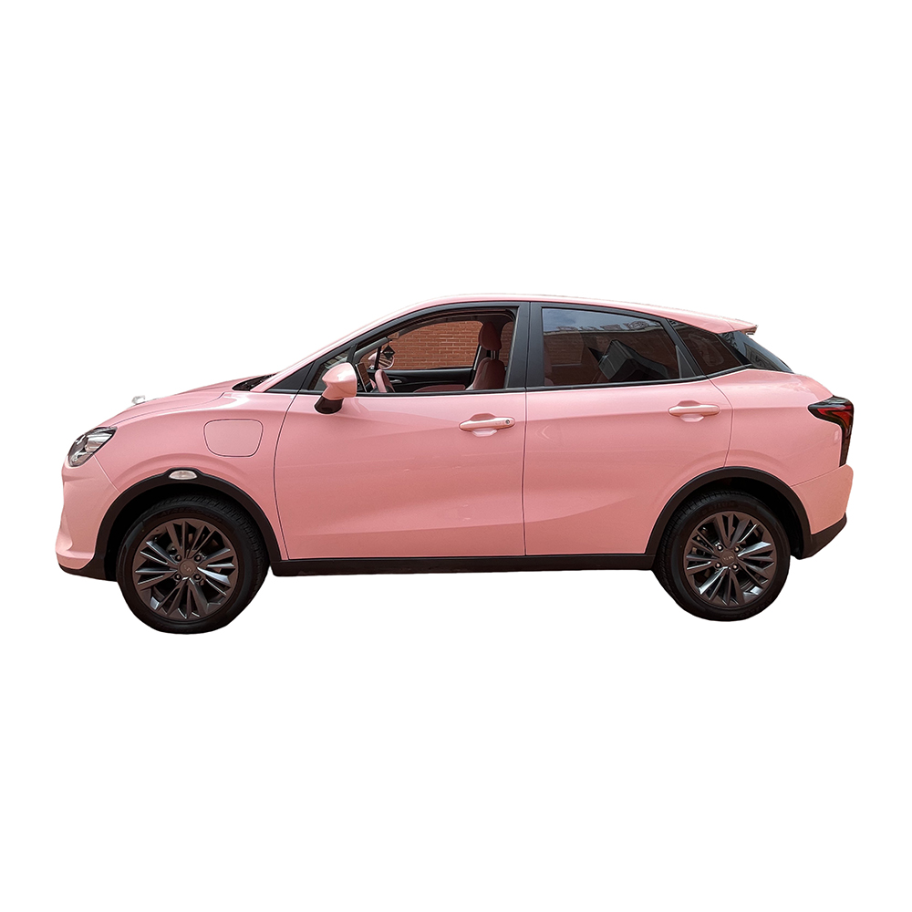 Second-hand new energy Neta V 2021 model