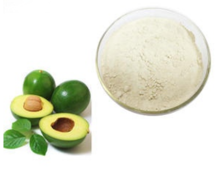 Phytosterols Dried Avocado Fruit Extract Powder