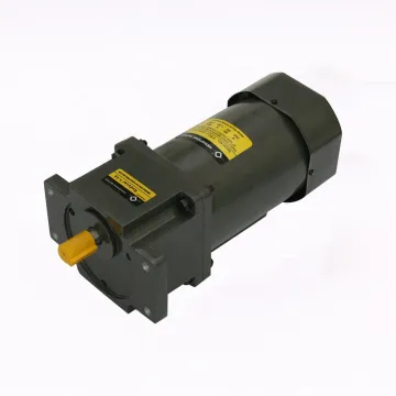 OEM 220V 90W 120W AC Gear Motor
