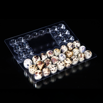Custom Disposable Clear Quail Egg Tray - 24 Holes PVC/RPET Plastic Egg Cartons