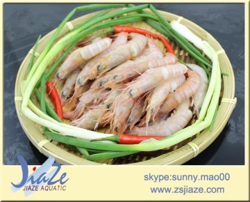 frozen pink shrimp IQF (Solenocera Meantho)