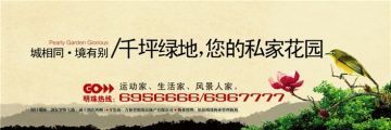 High Resolution Eco - Friendly Frontlit Or Backlit Pvc Flex Custom Vinyl Poster Printing