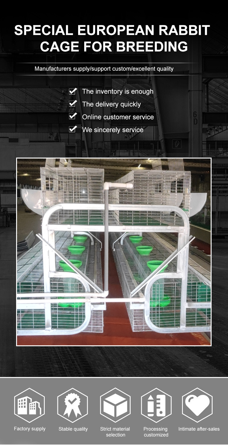 Commercial Rabbit Farm Rabbit Breeding Cage Suppliers, High Quality ...