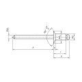 Stainless steel/Steel countersunk open type blind rivets