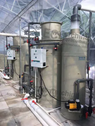 Indoor Recirculating Aquaculture System (RAS) Equipment for Grouper Fish Farming
