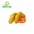 Papain powder Papaya enzyme powder