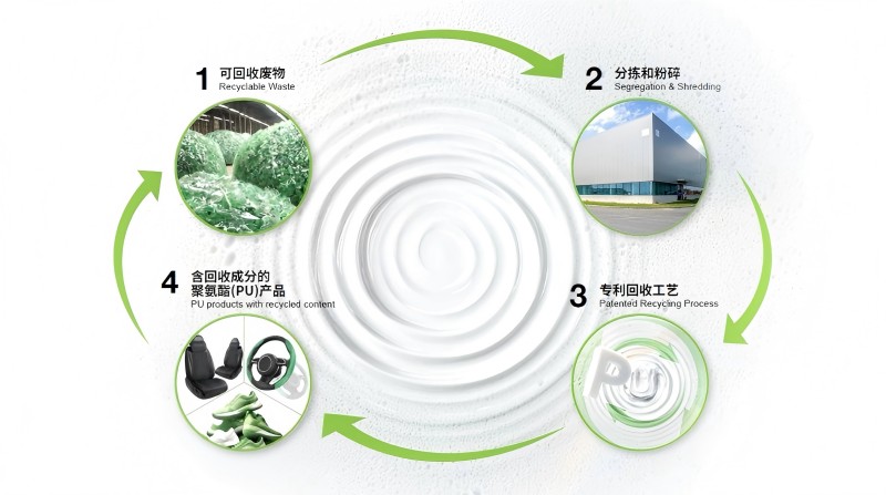 BASF-5