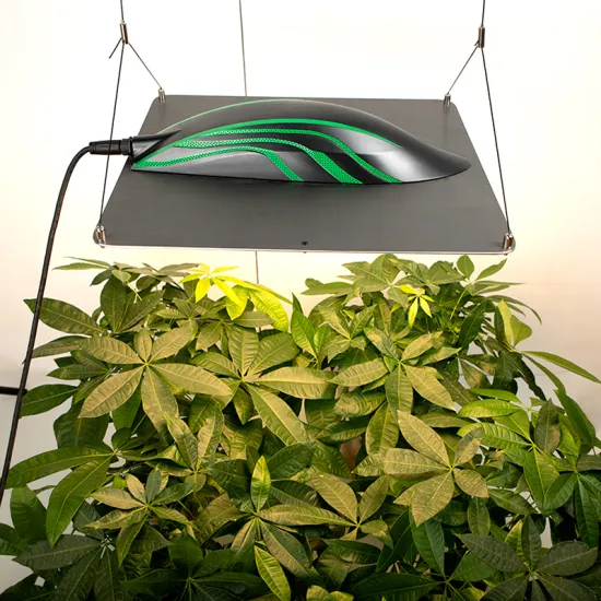 Led Grow Lights For Seedlings