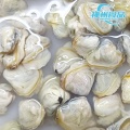Vongole vive sostenibili e carne congelata pronta da cucinare