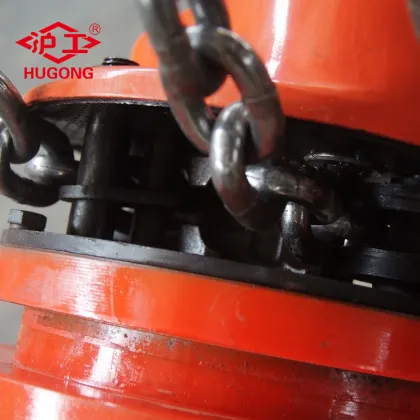 Oil Field Used Engine Hoist Lifting Group Electric Chain Hoist