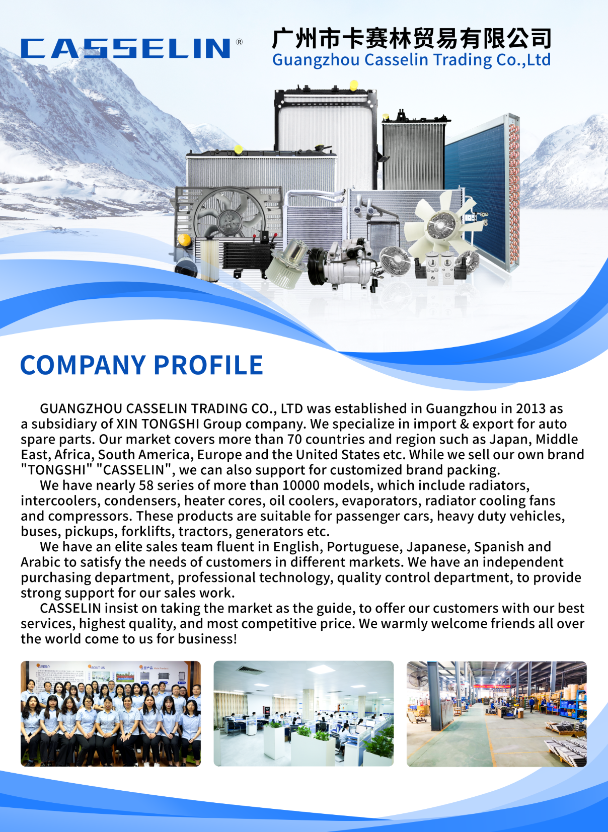 company profile