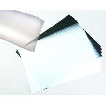 Packing Disposable Transparent PET Sheet