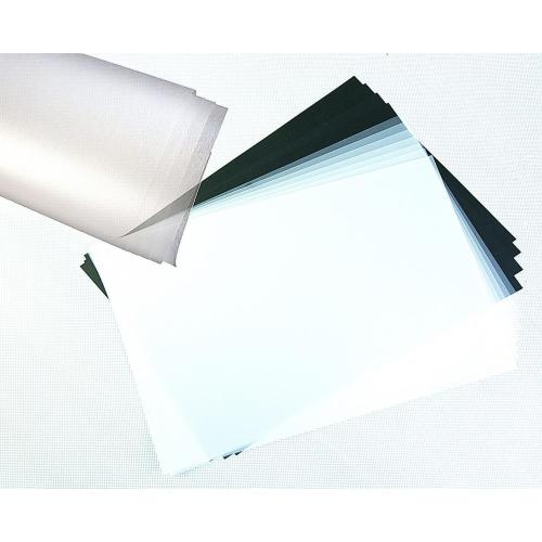 Packing Disposable Transparent PET Sheet