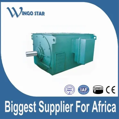 AC general high voltage Electric Motor With Cover