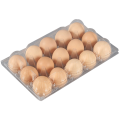 12 Gatten Clear Egg Box Plastic Egg Tray