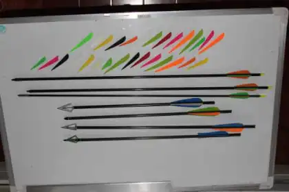The Arrow Turkey Feather 