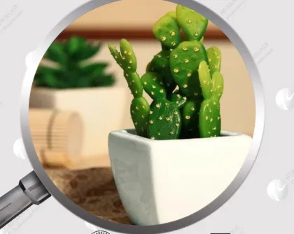 Cactus Plant Extract Cactus P.E. With Competitive Price
