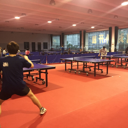 ITTF kwaliteit hoge dikte 7mm indoor tafeltennisvloer