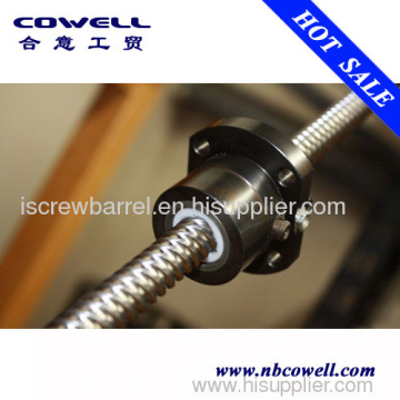 Ball Screws And Nuts 