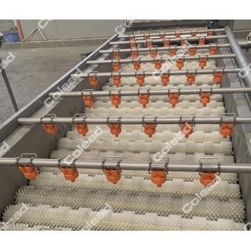 Whole fruit washing and polishing machine for factory