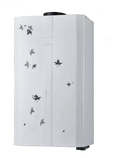 Showering Natural Gas Hot Water Heater 6-20L
