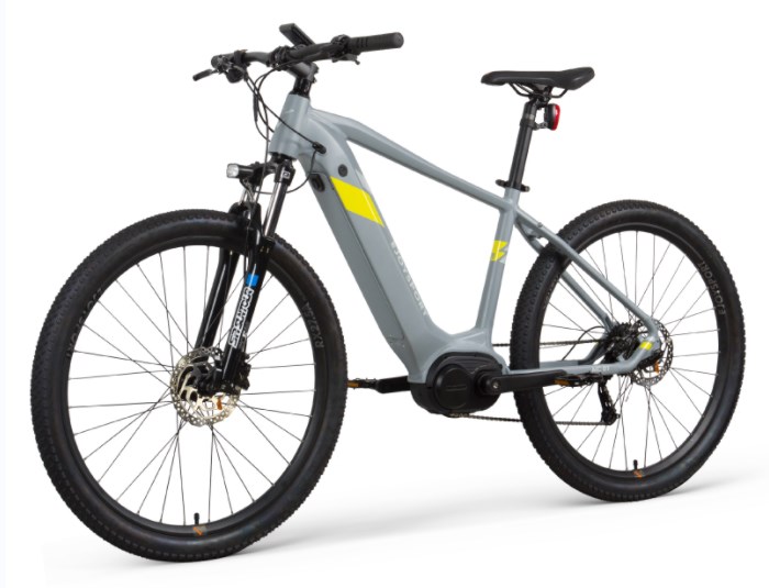 Vélo à propulsion électrique de montagne personnalisée