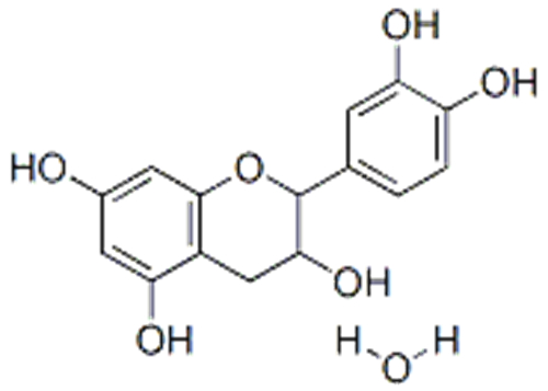 (+)-Catechin hydrate CAS 225937-10-0