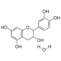 (+) - Катехин гидрат CAS 225937-10-0