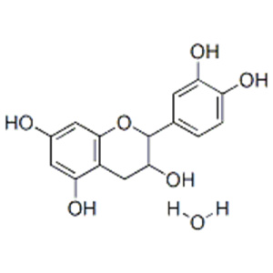 (+)-Catechin hydrate CAS 225937-10-0
