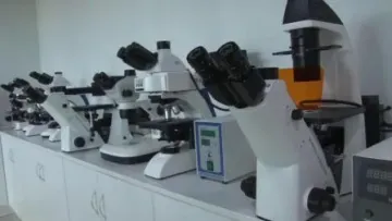2000X Training Medical Supply with Amscope Trinocular Microscope for Basic Customization
