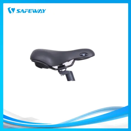Fashionable lithium battery electric bike city bike