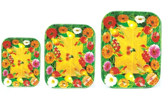 HW5363; HW5363-1; HW5363-2 PLASTIC PLATE