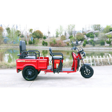 48V 650W battery operated recreation tricycle