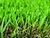 New Nature simulation artificial landscaping grasses + U-shaped hybrid grass