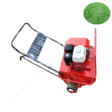 Benzinli Motor Çekirdek Havalandırıcı - Ağır Hizmetli Bahçe Çim Donma Makinesi